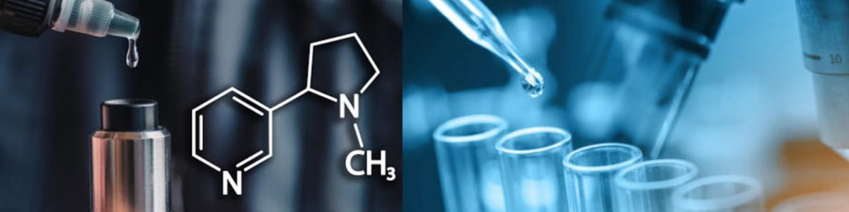 Synthetic Nicotine Synthetic Nicotine